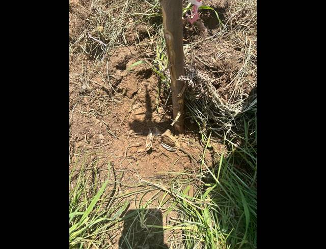 LAND FOR SALE IN WITPOORTJIE